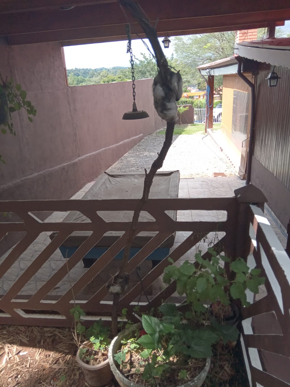 chalézinho no interior atibaia 12.jpg